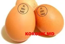 Инкубационные яйца (маркированные)
