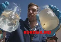 Очищение водоемов натуральными пробиотиками