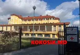 Допомога українським біженцям з інвалідністю в Польщі