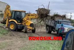 Спил деревьев любой сложности