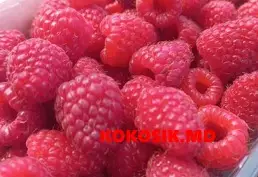Купить саженцы малины