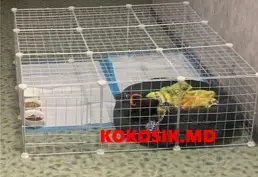 Купить вольер для собак мелких пород, щенков и кошек