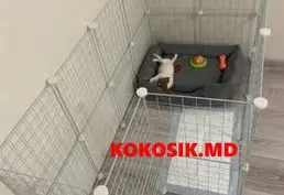 Купить вольер для собак мелких пород, щенков и кошек