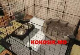Купить вольер для собак мелких пород, щенков и кошек