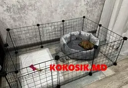 Купить вольер для собак мелких пород, щенков и кошек