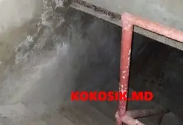 Se vinde casă + tehnică de uz casnic nouă