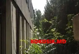 Аренда с выкупом, коммерческая недвижимость