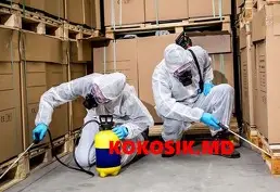 Dezinsecție și dezinfecție