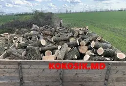 Куплю дрова