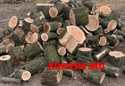 Куплю дрова