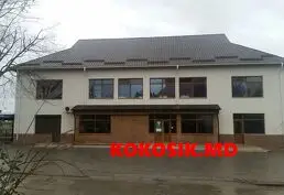 Caut partener de afaceri cu intenții serioase și investiție