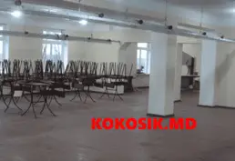 Caut partener de afaceri cu intenții serioase și investiție