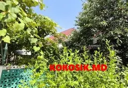 Купиь дом Ближний Хутор
