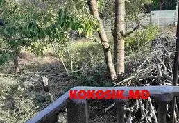 Купить 3-этажную дачу рядом с Ваду-луй-Водэ