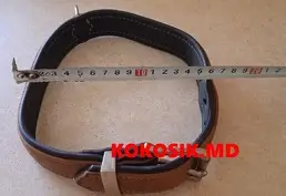Ошейник кожаный купить