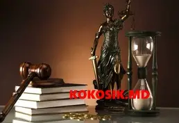 Юридические услуги