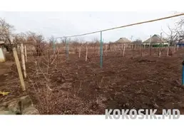 Купить дом в селе Чобручи
