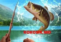 Оформление разрешения на рыбалку в Молдове