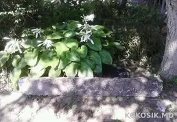 Армированные перемычки 🧱