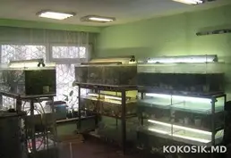 Аквариумы от 200 до 1000 литров 🐠